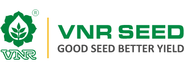 VNR Seed Logo