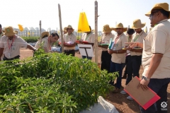 Farmer Connect - On Farm Interaction with Breeders