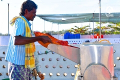 Seed Production - Tomato Seed Extraction in progress